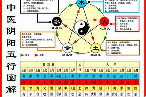 1984海中金|84年属鼠海中金命的人一生的命运如何